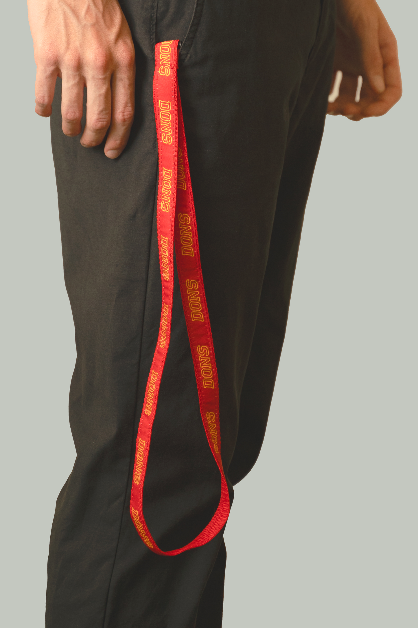 Lanyard